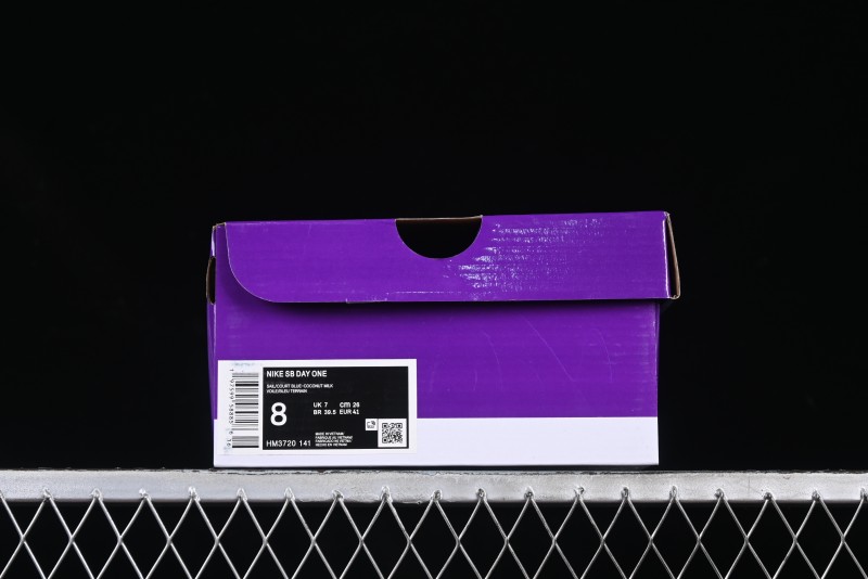 Nike SB Day One Low Top Casual Skate Shoes with Air Zoom Cushion - HM3720-141