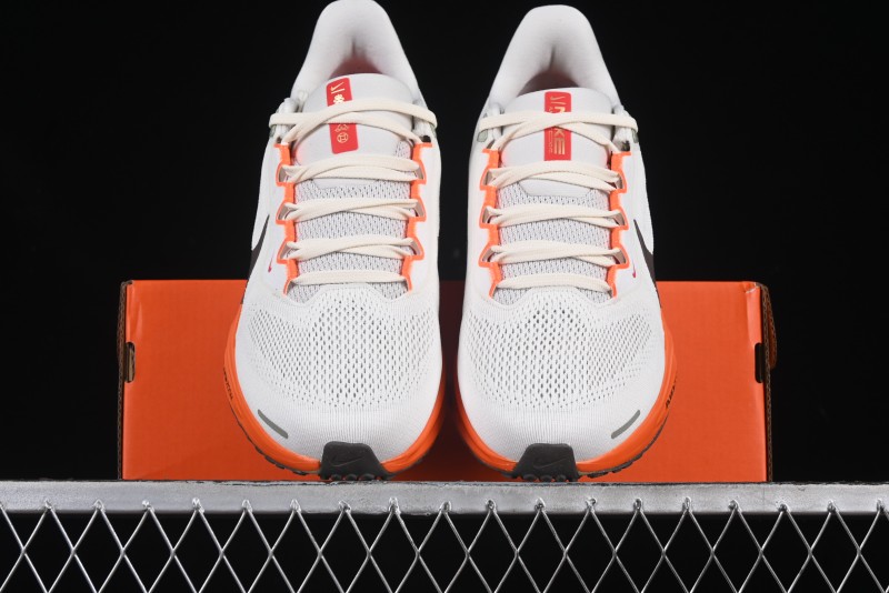 Nike Air Zoom Pegasus 41 GTX Running Shoes with Mesh Breathability and Durable Outsole - HV5975-102